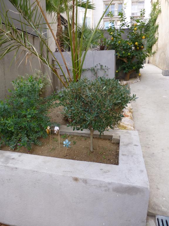 L'Orangeraie Et La Palmeraie D'Endoume Marsiglia Esterno foto