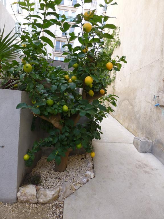 L'Orangeraie Et La Palmeraie D'Endoume Marsiglia Esterno foto