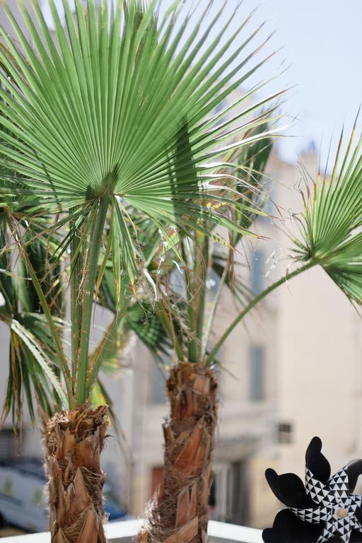 L'Orangeraie Et La Palmeraie D'Endoume Marsiglia Esterno foto
